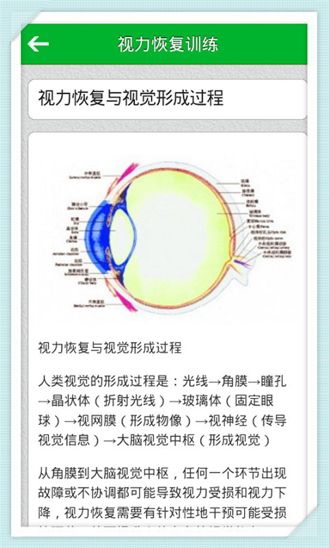 恢复视力的辅助训练方法 1