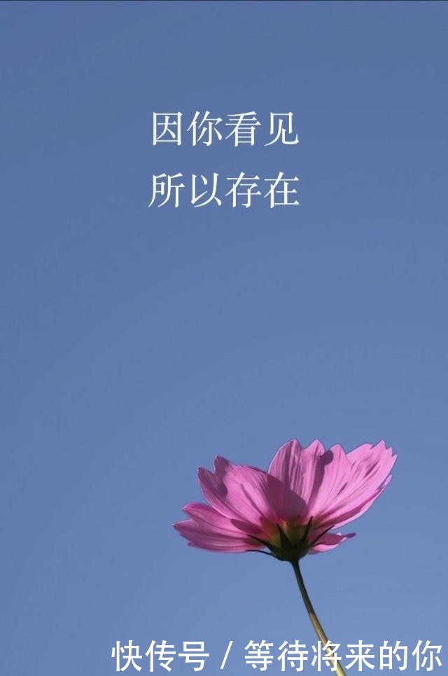 微信界面大改版,7.0.0版本正式推送更新,你后悔