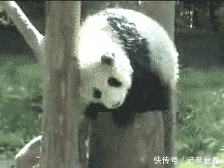 只有1%的四川人才知道这些关于四川的冷知识,你知道吗?