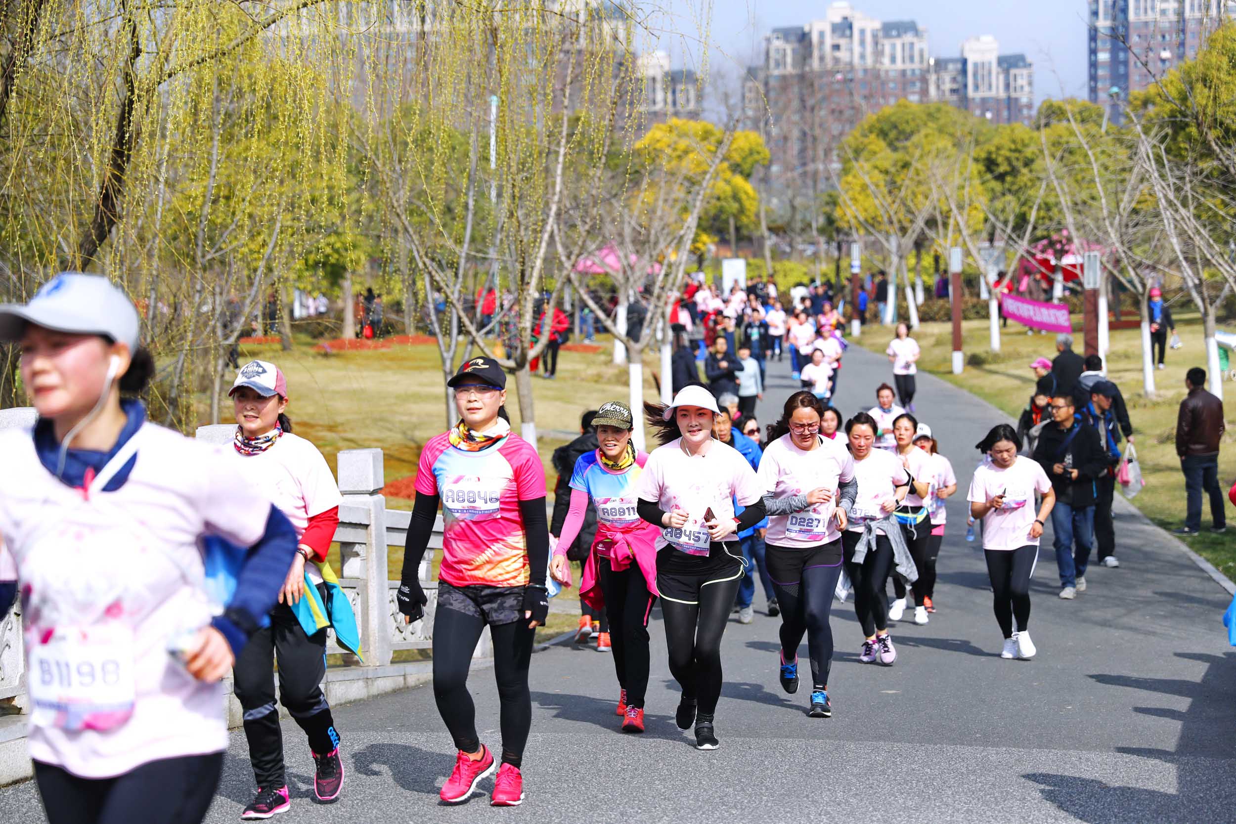 千人齐聚最美樱花跑 你的少女心还收得住吗?