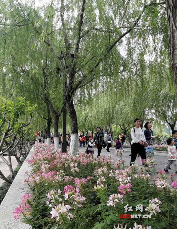 \＂五一\＂假期衡阳市旅游吸金11.14亿 同比增长136.37%