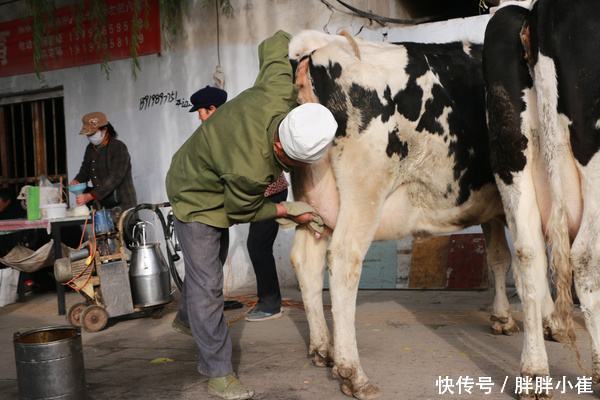 小卖部买这个东西,注意看巴氏消毒这几个字