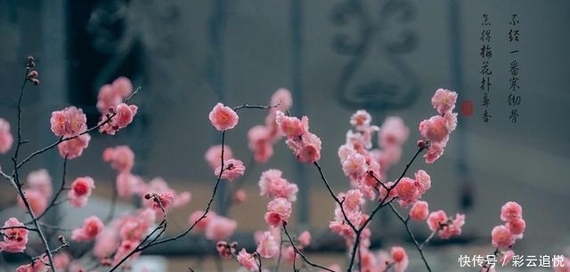 完整《百字箴言》原文及解释,唐太宗李世民杰作,修己安人治邦 澳门皇冠体育官网