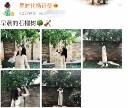 杨钰莹石榴树下凹造型意境优美，可这美照却不小心暴露了她的豪宅