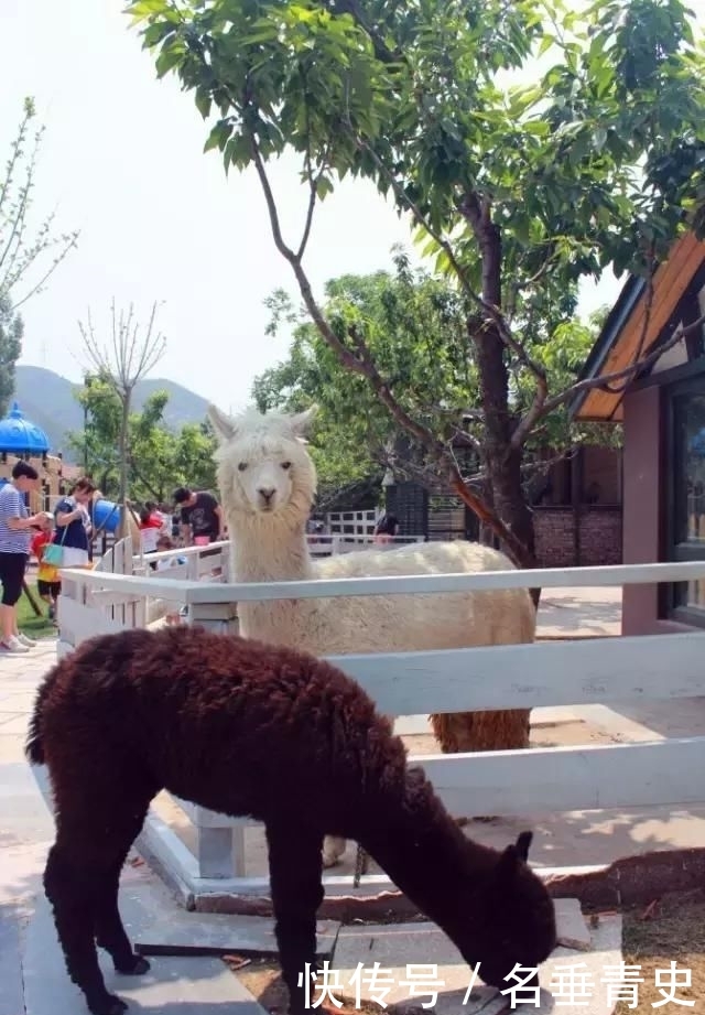 清明小长假天津人都去哪玩?天津周边这地方美