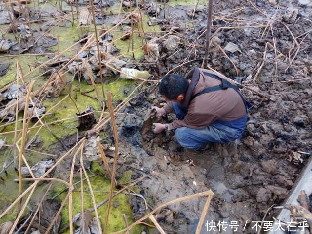 农村的大叔在鱼塘中发现宝贝，以为能赚一大笔钱的，谁知道却亏了