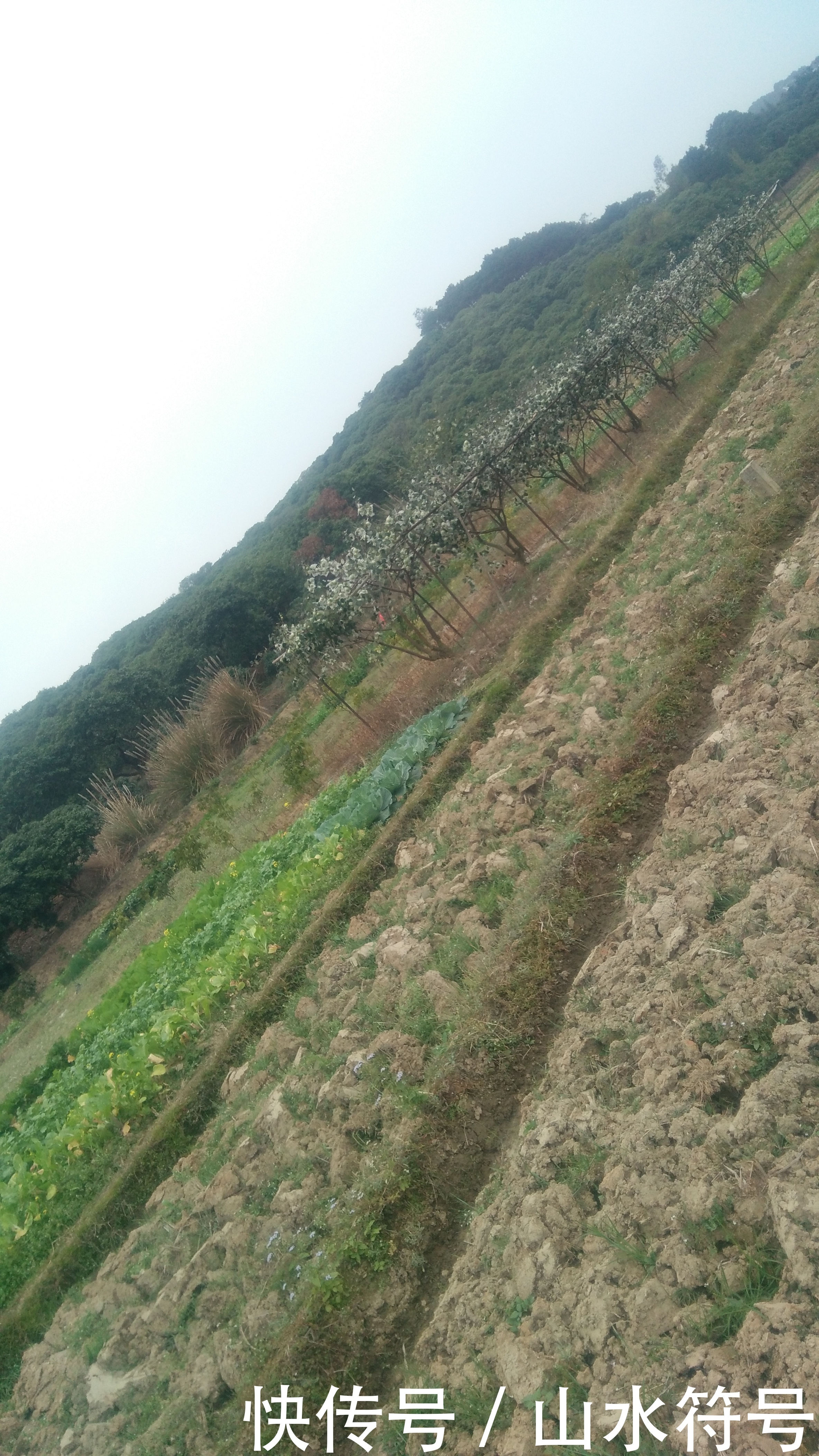 春节后的农田景象广西浦北县白石水