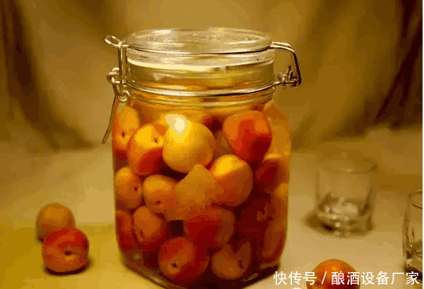 酿酒技术-杏子酒制作方法