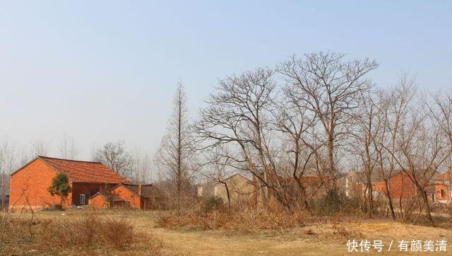 好消息!国家将统一规划农村建房,以后农民不用