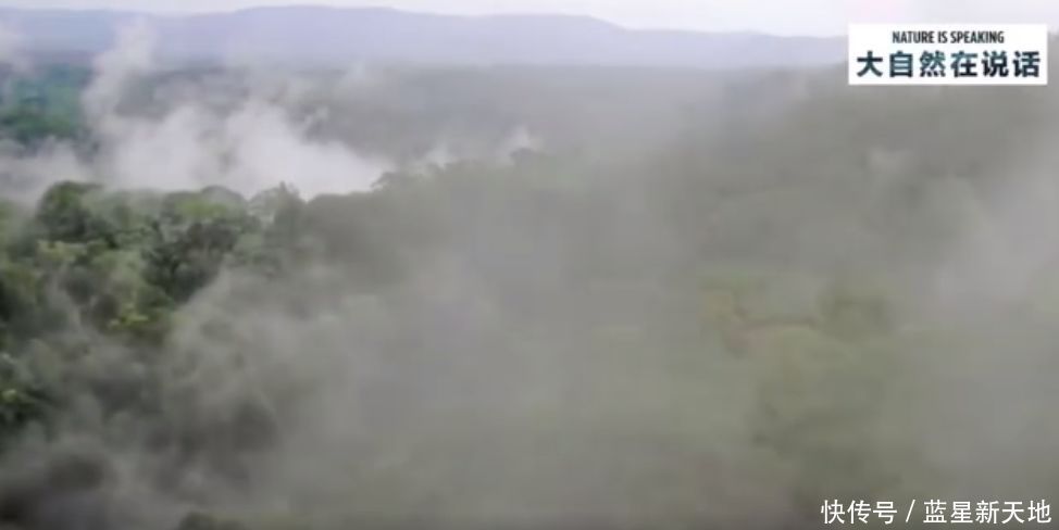 t01d5cb65190bf4236c.jpg?size=974x488