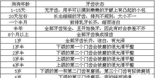 狗狗一岁相当于人几岁狗狗的年龄对照表图!看