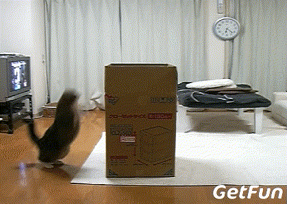419_297gif 动态图 动图