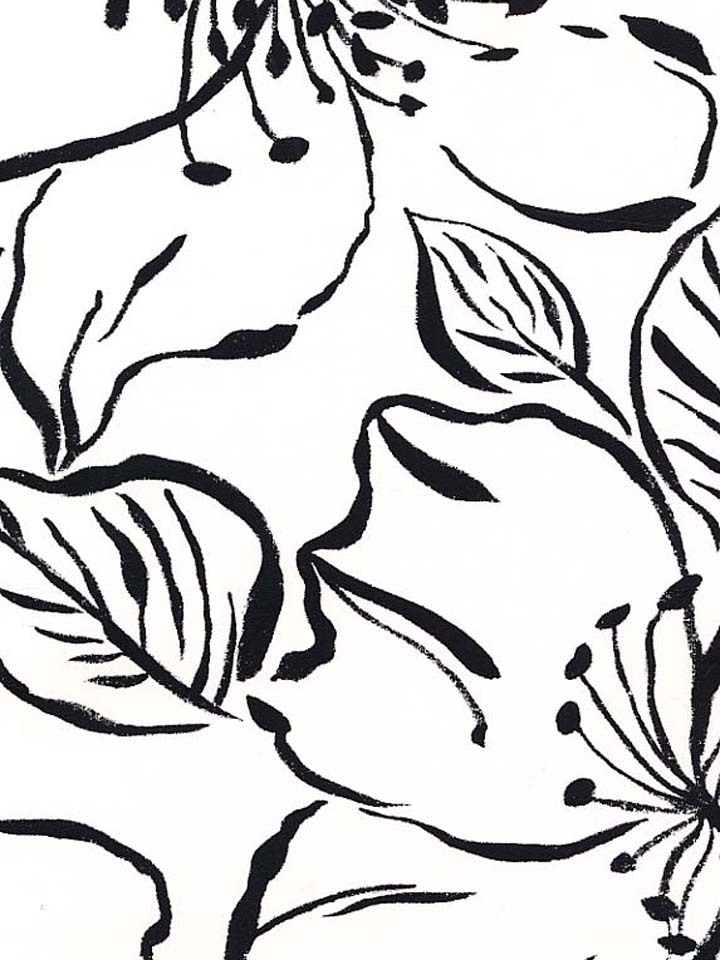 38张纯黑背景图片欣赏,今天最后的福利