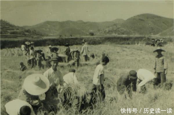 改革开放40年,18张老照片见证惠州农业旧貌