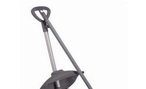 养宠知识泰迪反群痒痒吗,泰迪反群症状是什么