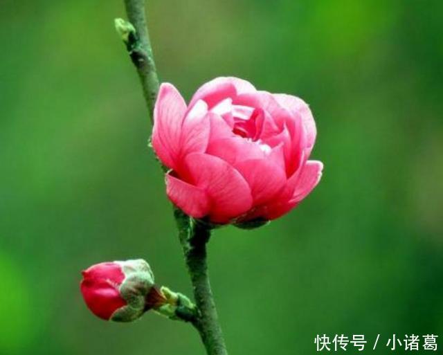 今天情人节可以脱单,牵手成功,走入幸福的婚姻殿堂,三生肖