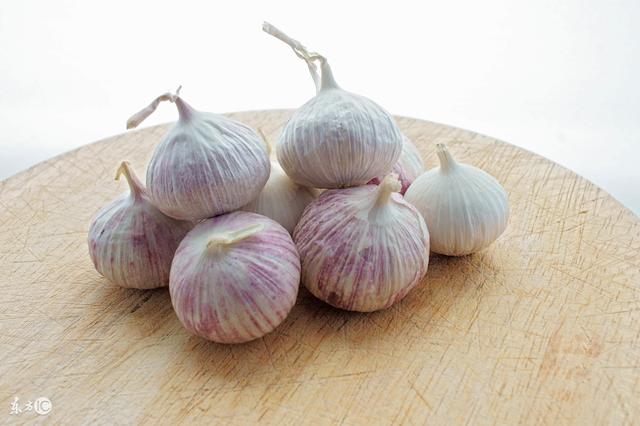 种大蒜独头蒜太多,那是不懂种蒜不出九月,出九