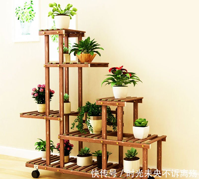 盆栽花架室内 t01dac0700f3fe97b01.jpg