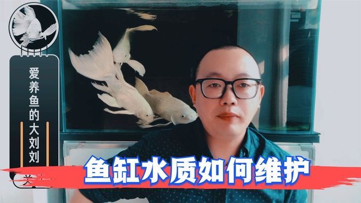 南美觀賞魚論壇網(wǎng)站：探索南美熱帶魚的樂園 印尼小紅龍