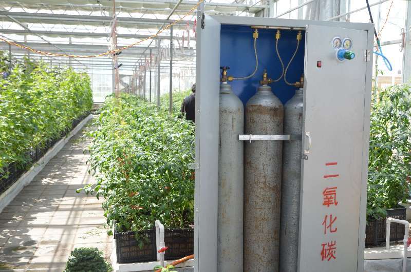 赵永华认为,夏季温室大棚内更缺co2,夏季大棚仍需应用co2气肥,使作物