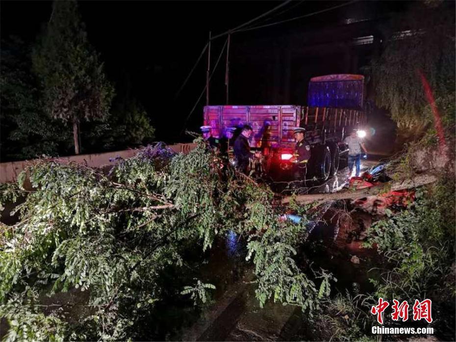 甘肃宕昌突降暴雨冰雹 路面被\＂染白\＂