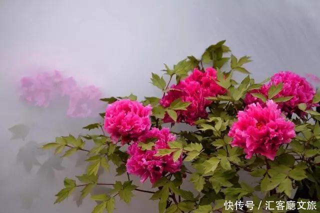 清明小长假,我想去这9个绝美的地方踏青!