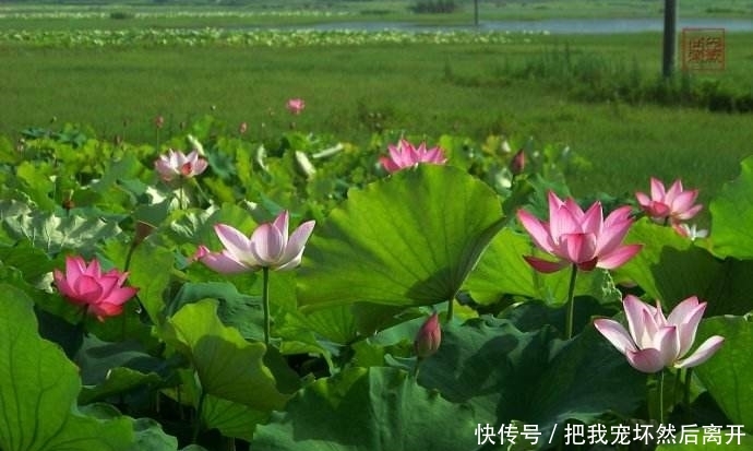 广东这两个冷门旅游景点,消费不贵风景美丽,五