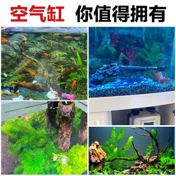 陜西咸陽(yáng)金龍魚銷售電話號(hào)碼查詢（陜西咸陽(yáng)金龍魚銷售電話號(hào)碼查詢地址） 祥龍魚場(chǎng)