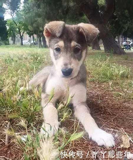 开心一刻笑话:小时候对钱没有概念,喜欢吃,在家