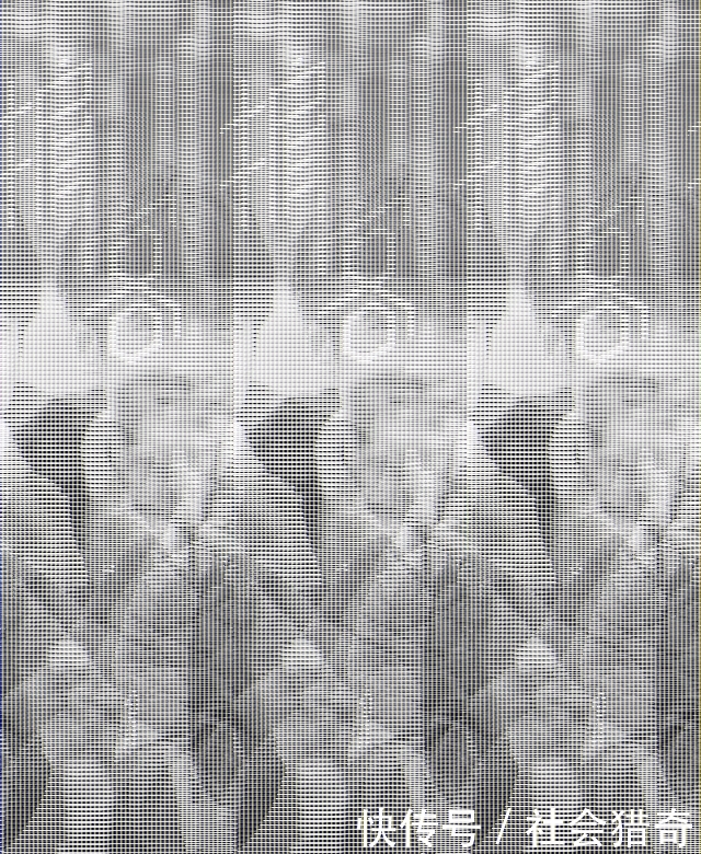 宋茜罗云熙主演的电视剧《掮客》今日开机! 你