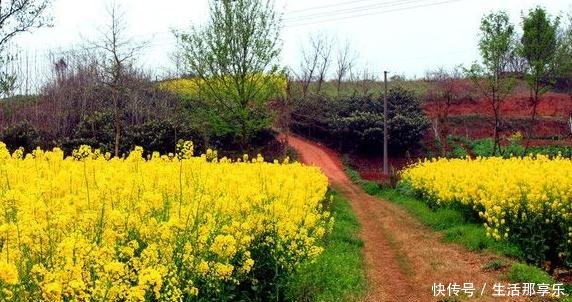 农村宅基地值钱了,那么农民知道怎么估算价格