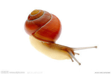 t01dfb7b8c7a0001300.jpg