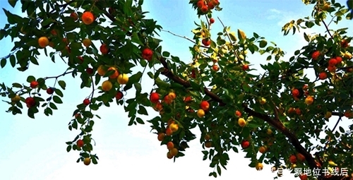 快递一斤多少钱