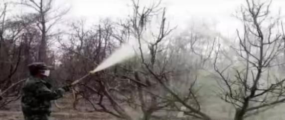 石硫合剂熬制配比、选料及熬制的方法步骤