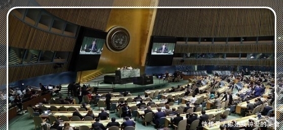 申请理由怎么写