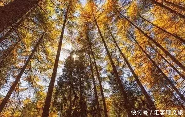 北纬30°上又一个神秘仙境，凭什么惊艳世界？