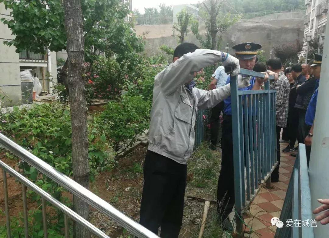 别了，小菜园!李沧区圈地种菜专项整治在行动