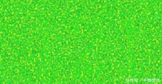 车管所确认难度9星的权威色盲测试图,第5张95