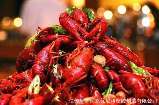 夏季到来,温室养殖小龙虾成热门 收益快还简单