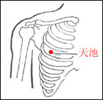 天池-穴位名称