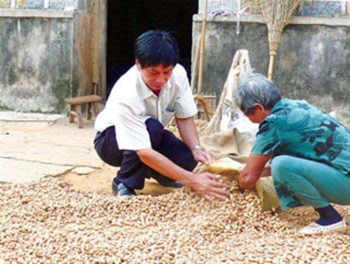 农村老人常说“吃自得、穿二八，赌一半、嫖白瞎”，有道理吗？