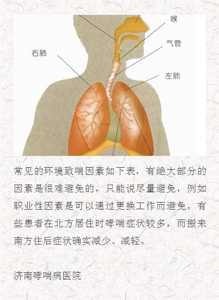 咳嗽,咯痰,呼吸困难&lt;/strong&gt;,肺内可听到哮鸣音,那么支气管哮喘的病因是什么呢