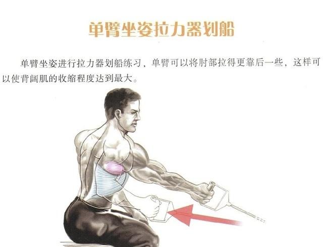 健身教程 图解背部肌肉群锻炼方式_【快资讯】