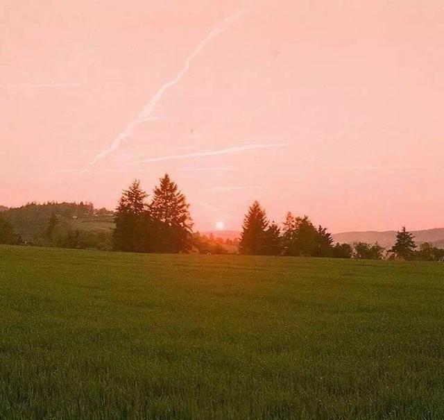 如何挽回一个说分手很坚决的男友