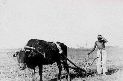 史罕见老照片,广西老照片体现了农耕社会的特