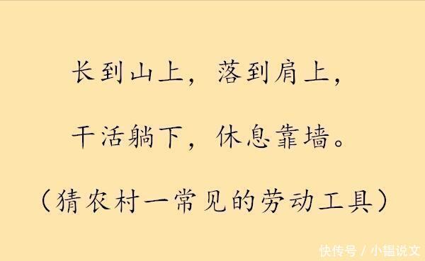 3人口什么字_人口普查(3)