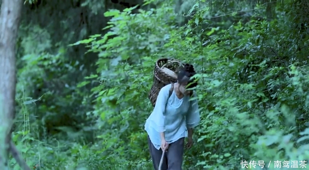 t01eedd5190dfffae5e.jpg?size=991x548