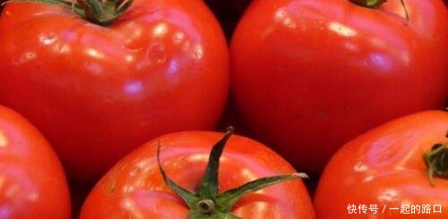 目前市场上的西红柿价格行情走势如何多少钱一斤