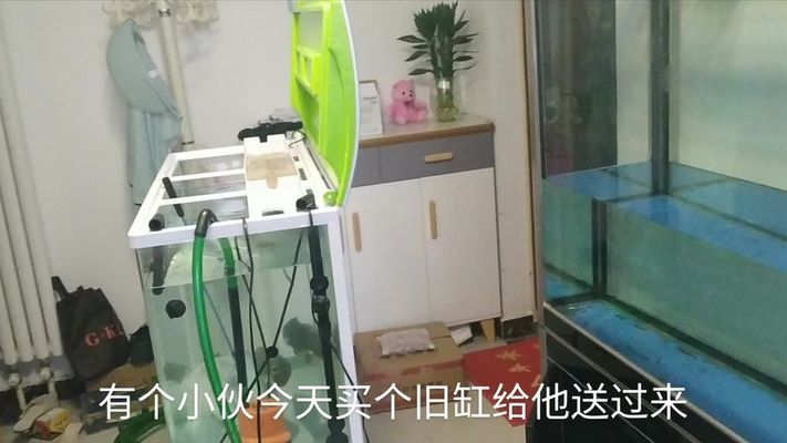 鱼缸过滤器产生氧气吗怎么办