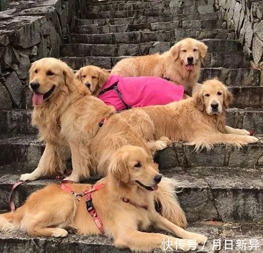 疗养院是干什么的